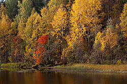 ������������� �������. ����������� �������, ��������, ������� ����� (���������� ������)