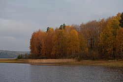 ������������� �������. ����������� �������, ��������, ������� ����� (���������� ������)