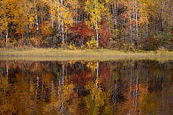 ������������� �������. ����������� �������, ��������, ������� ����� (���������� ������)