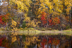 ������������� �������. ����������� �������, ��������, ������� ����� (���������� ������)