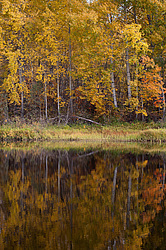 ������������� �������. ����������� �������, ��������, ������� ����� (���������� ������)