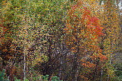 ������������� �������. ����������� �������, ������� ��������