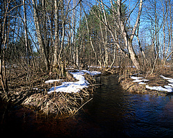 �������� ������� ������� ������, �������� �������, �������������