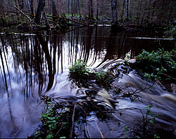 �������� ������� � ����������� ���, �������������, �������� �������