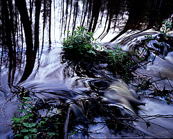 �������� ������� � ����������� ���, �������������, �������� �������