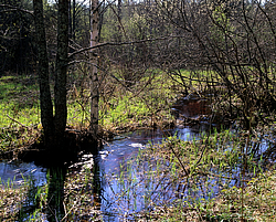 �������� ������, �������������, �������� �������