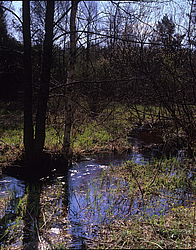 �������� ������, �������������, �������� �������