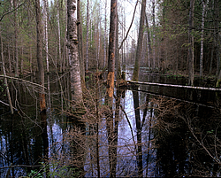 �������� ������, �������������, �������� �������