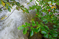 ������ ������ ���, ������ ���� ���, ���������� ����������, ������