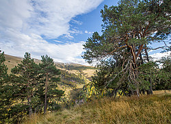 ������� ����, ������� �����, ���������� ����������, ������