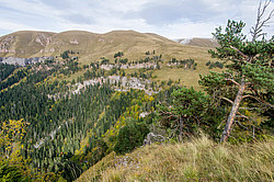 ������� ����, ������� �����, ���������� ����������, ������