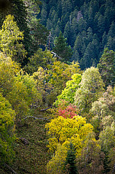 ������� ����, ������� �����, ���������� ����������, ������