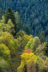 ������� ����, ������� �����, ���������� ����������, ������