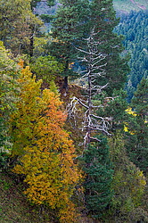 ������� ����, ������� �����, ���������� ����������, ������