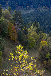 ������� ����, ������� �����, ���������� ����������, ������