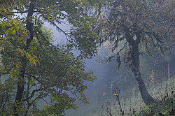 ���� � �������� ����, ������� �����, ���������� ����������, ������