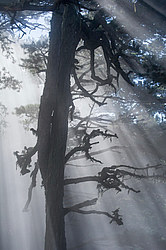 ���� � �������� ����, ������� �����, ���������� ����������, ������