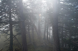 ���� � �������� ����, ������� �����, ���������� ����������, ������