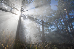 ���� � �������� ����, ������� �����, ���������� ����������, ������