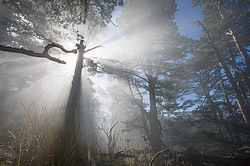 ���� � �������� ����, ������� �����, ���������� ����������, ������