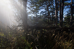 ���� � �������� ����, ������� �����, ���������� ����������, ������