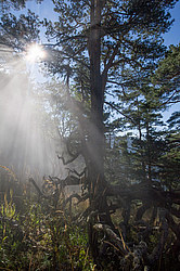 ���� � �������� ����, ������� �����, ���������� ����������, ������