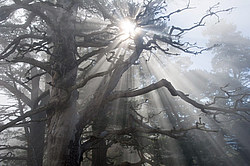 ���� � �������� ����, ������� �����, ���������� ����������, ������