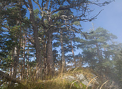 ���� � �������� ����, ������� �����, ���������� ����������, ������