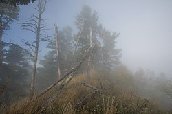 ���� � �������� ����, ������� �����, ���������� ����������, ������