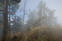 ���� � �������� ����, ������� �����, ���������� ����������, ������