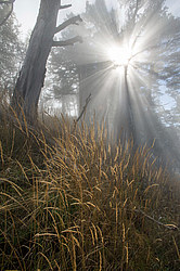 ���� � �������� ����, ������� �����, ���������� ����������, ������