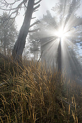 ���� � �������� ����, ������� �����, ���������� ����������, ������