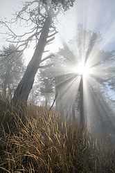 ���� � �������� ����, ������� �����, ���������� ����������, ������