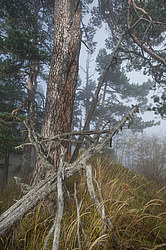 ���� � �������� ����, ������� �����, ���������� ����������, ������