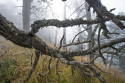 ���� � �������� ����, ������� �����, ���������� ����������, ������