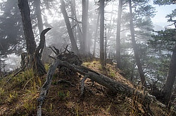 ���� � �������� ����, ������� �����, ���������� ����������, ������