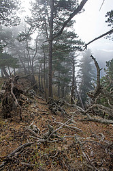 ���� � �������� ����, ������� �����, ���������� ����������, ������