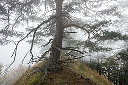 ���� � �������� ����, ������� �����, ���������� ����������, ������