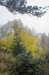 ���� � �������� ����, ������� �����, ���������� ����������, ������