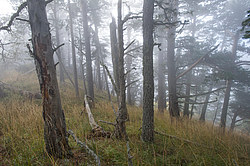 ���� � �������� ����, ������� �����, ���������� ����������, ������