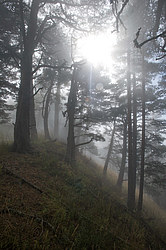 ���� � �������� ����, ������� �����, ���������� ����������, ������