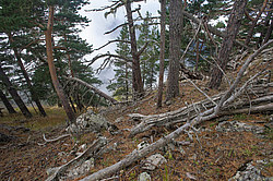 ���� � �������� ����, ������� �����, ���������� ����������, ������