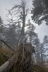 ���� � �������� ����, ������� �����, ���������� ����������, ������