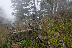 ���� � �������� ����, ������� �����, ���������� ����������, ������