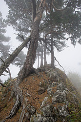 ���� � �������� ����, ������� �����, ���������� ����������, ������