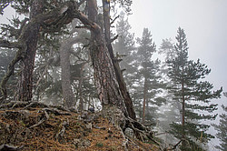 ���� � �������� ����, ������� �����, ���������� ����������, ������