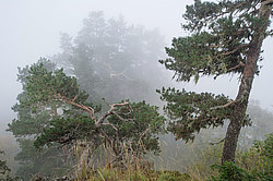 ���� � �������� ����, ������� �����, ���������� ����������, ������