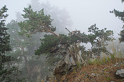 ���� � �������� ����, ������� �����, ���������� ����������, ������