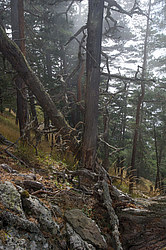 ���� � �������� ����, ������� �����, ���������� ����������, ������