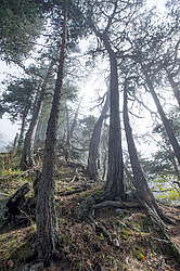 ���� � �������� ����, ������� �����, ���������� ����������, ������